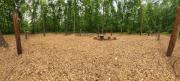 Dog-Park-min